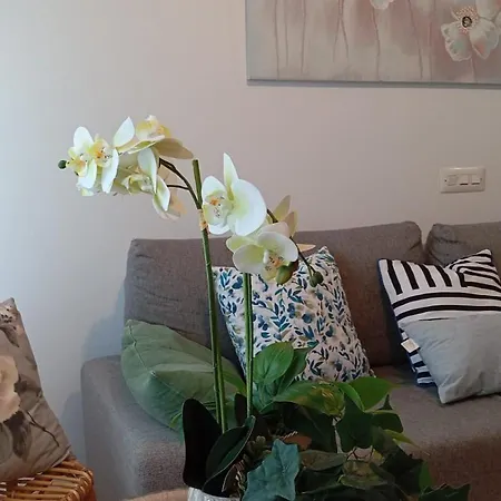 La Camara De Salesas *